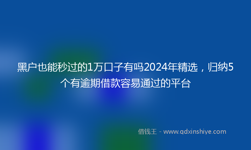 黑户也能秒过的1万口子有吗2024年精选，归纳5个有逾期借款容易通过的平台