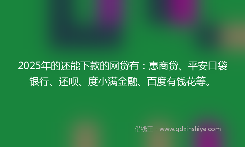 2025年的还能下款的网贷有：惠商贷、平安口袋银行、还呗、度小满金融、百度有钱花等。