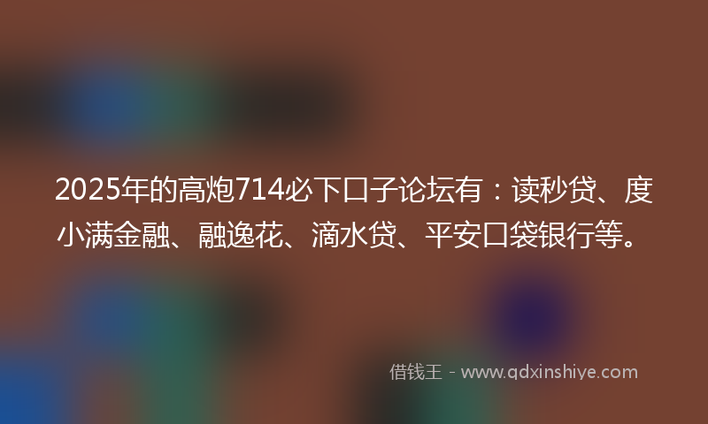 2025年的高炮714必下口子论坛有：读秒贷、度小满金融、融逸花、滴水贷、平安口袋银行等。