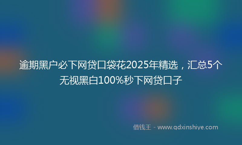 逾期黑户必下网贷口袋花2025年精选，汇总5个无视黑白100%秒下网贷口子