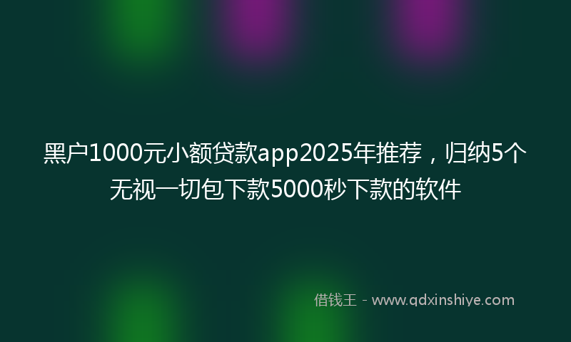 黑户1000元小额贷款app2025年推荐，归纳5个无视一切包下款5000秒下款的软件