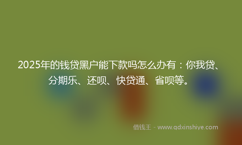 2025年的钱贷黑户能下款吗怎么办有：你我贷、分期乐、还呗、快贷通、省呗等。