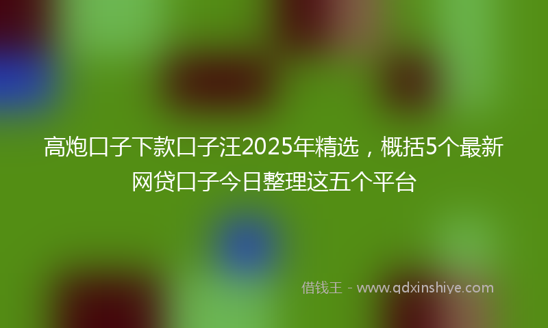 高炮口子下款口子汪2025年精选，概括5个最新网贷口子今日整理这五个平台