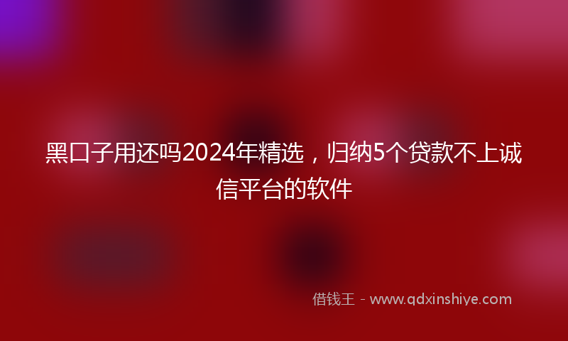 黑口子用还吗2024年精选，归纳5个贷款不上诚信平台的软件