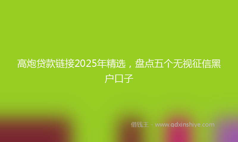 高炮贷款链接2025年精选，盘点五个无视征信黑户口子