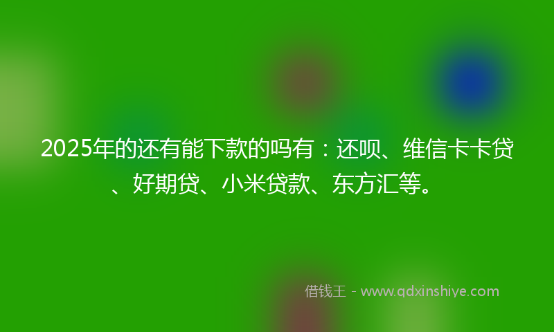 2025年的还有能下款的吗有：还呗、维信卡卡贷、好期贷、小米贷款、东方汇等。