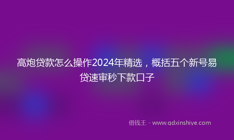 高炮贷款怎么操作2024年精选，概括五个新号易贷速审秒下款口子