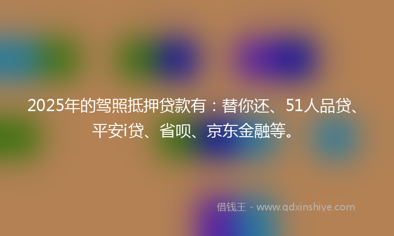 2025年的驾照抵押贷款有：替你还、51人品贷、平安i贷、省呗、京东金融等。