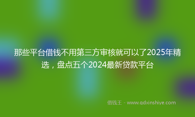 那些平台借钱不用第三方审核就可以了2025年精选，盘点五个2024最新贷款平台