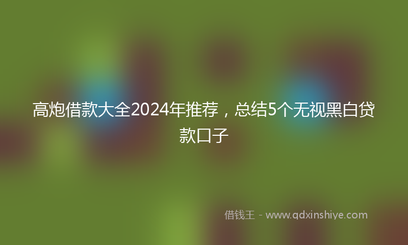 高炮借款大全2024年推荐，总结5个无视黑白贷款口子