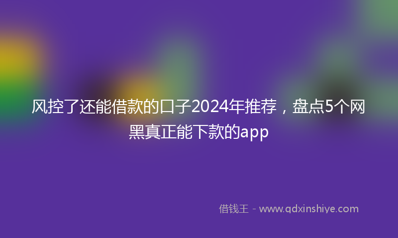 风控了还能借款的口子2024年推荐，盘点5个网黑真正能下款的app