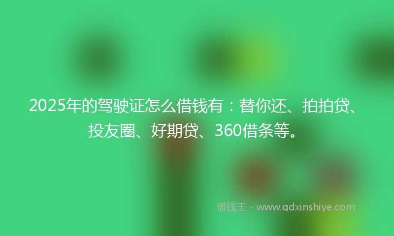 2025年的驾驶证怎么借钱有：替你还、拍拍贷、投友圈、好期贷、360借条等。