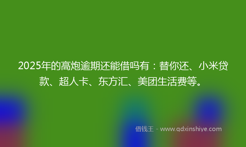2025年的高炮逾期还能借吗有：替你还、小米贷款、超人卡、东方汇、美团生活费等。