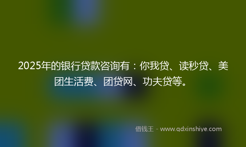 2025年的银行贷款咨询有：你我贷、读秒贷、美团生活费、团贷网、功夫贷等。