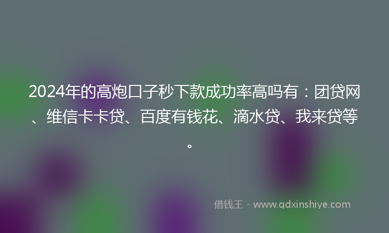 2024年的高炮口子秒下款成功率高吗有：团贷网、维信卡卡贷、百度有钱花、滴水贷、我来贷等。
