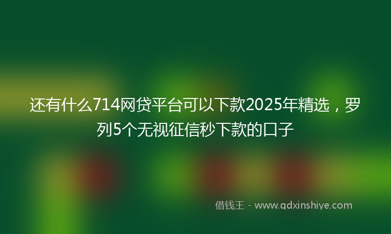 还有什么714网贷平台可以下款2025年精选，罗列5个无视征信秒下款的口子