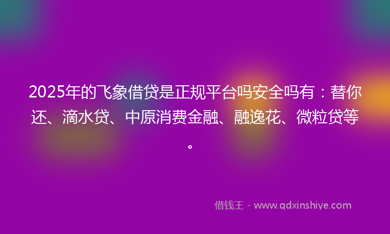 2025年的飞象借贷是正规平台吗安全吗有：替你还、滴水贷、中原消费金融、融逸花、微粒贷等。