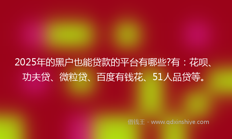 2025年的黑户也能贷款的平台有哪些?有：花呗、功夫贷、微粒贷、百度有钱花、51人品贷等。
