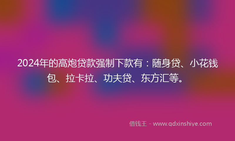 2024年的高炮贷款强制下款有：随身贷、小花钱包、拉卡拉、功夫贷、东方汇等。