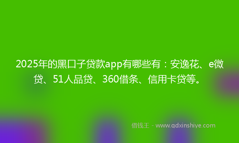 2025年的黑口子贷款app有哪些有：安逸花、e微贷、51人品贷、360借条、信用卡贷等。