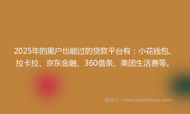 2025年的黑户也能过的贷款平台有：小花钱包、拉卡拉、京东金融、360借条、美团生活费等。