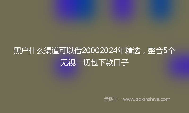 黑户什么渠道可以借20002024年精选，整合5个无视一切包下款口子