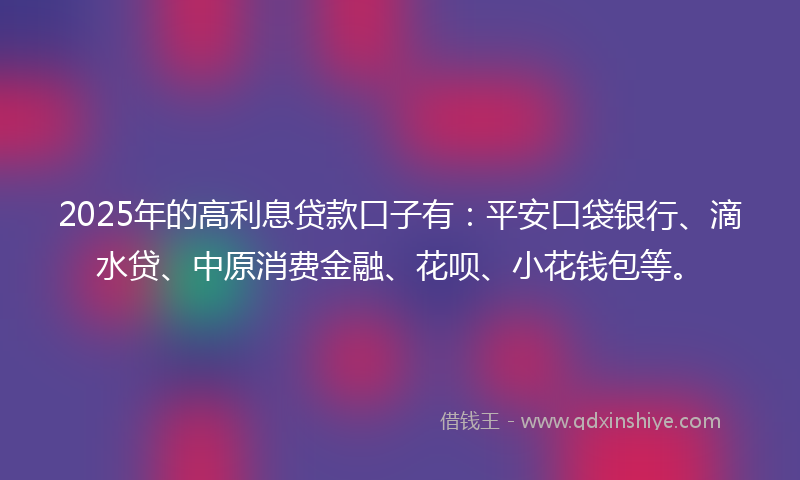 2025年的高利息贷款口子有：平安口袋银行、滴水贷、中原消费金融、花呗、小花钱包等。