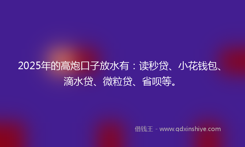 2025年的高炮口子放水有：读秒贷、小花钱包、滴水贷、微粒贷、省呗等。