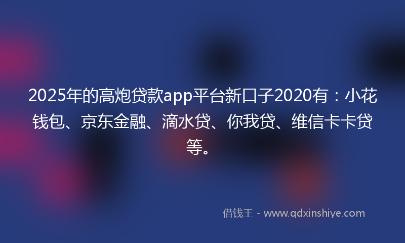 2025年的高炮贷款app平台新口子2020有：小花钱包、京东金融、滴水贷、你我贷、维信卡卡贷等。