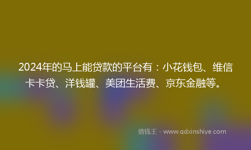 2024年的马上能贷款的平台有：小花钱包、维信卡卡贷、洋钱罐、美团生活费、京东金融等。