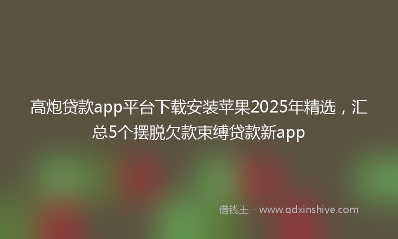 高炮贷款app平台下载安装苹果2025年精选，汇总5个摆脱欠款束缚贷款新app
