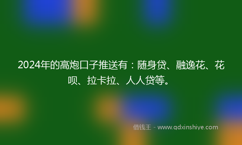 2024年的高炮口子推送有：随身贷、融逸花、花呗、拉卡拉、人人贷等。