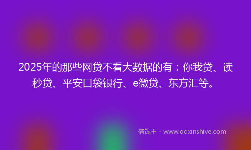 2025年的那些网贷不看大数据的有：你我贷、读秒贷、平安口袋银行、e微贷、东方汇等。