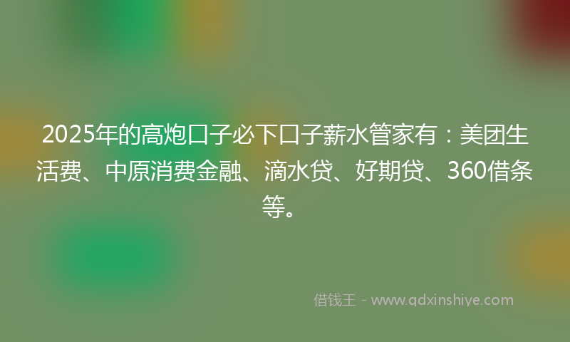 2025年的高炮口子必下口子薪水管家有：美团生活费、中原消费金融、滴水贷、好期贷、360借条等。