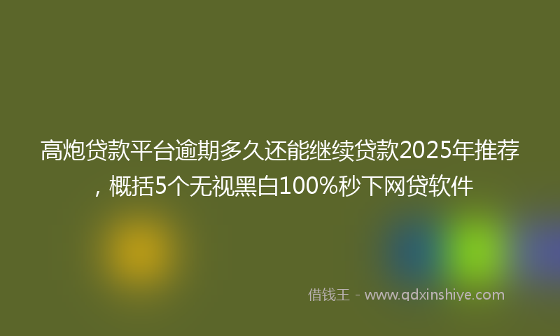 高炮贷款平台逾期多久还能继续贷款2025年推荐，概括5个无视黑白100%秒下网贷软件