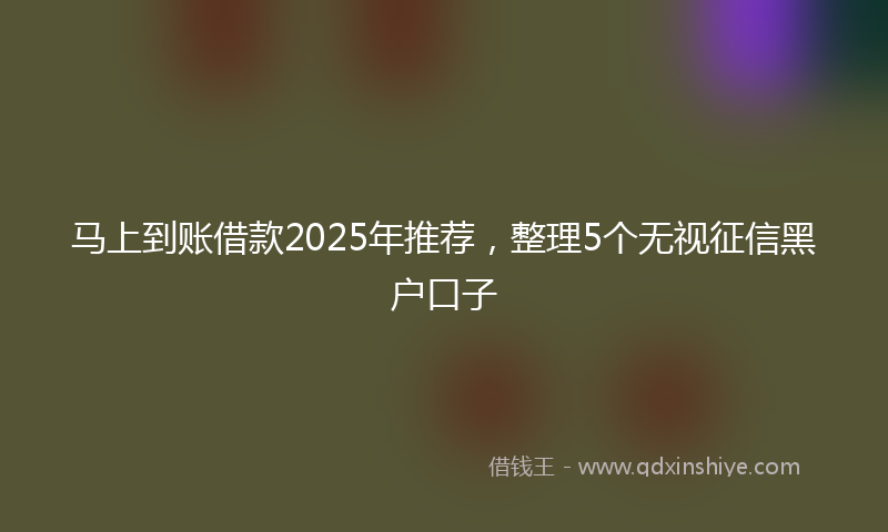 马上到账借款2025年推荐，整理5个无视征信黑户口子