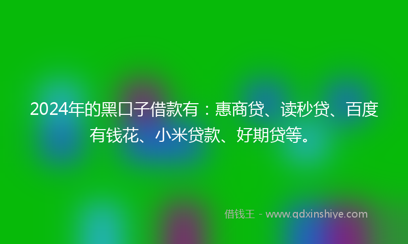 2024年的黑口子借款有：惠商贷、读秒贷、百度有钱花、小米贷款、好期贷等。