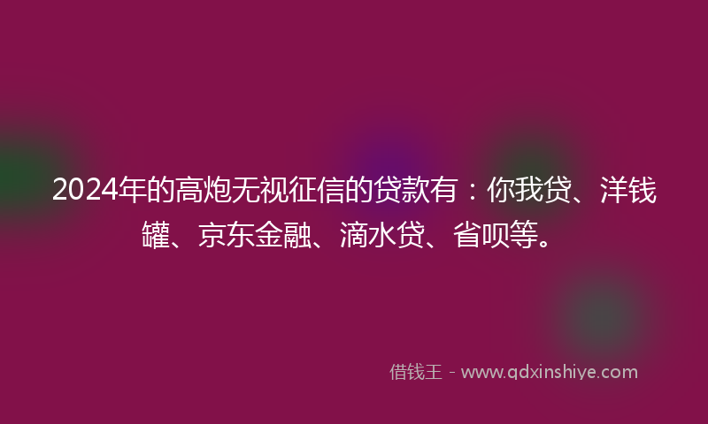 2024年的高炮无视征信的贷款有：你我贷、洋钱罐、京东金融、滴水贷、省呗等。
