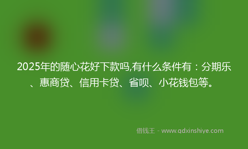 2025年的随心花好下款吗,有什么条件有：分期乐、惠商贷、信用卡贷、省呗、小花钱包等。