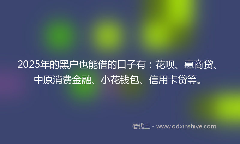 2025年的黑户也能借的口子有：花呗、惠商贷、中原消费金融、小花钱包、信用卡贷等。