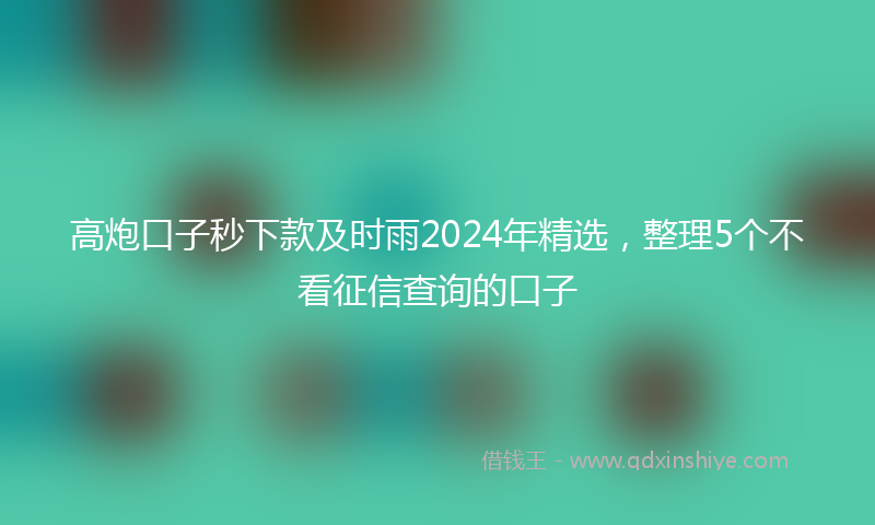 高炮口子秒下款及时雨2024年精选，整理5个不看征信查询的口子
