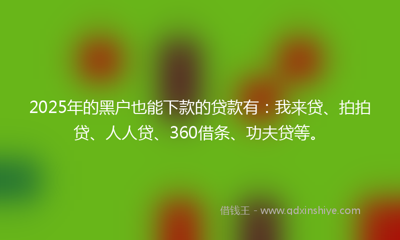 2025年的黑户也能下款的贷款有：我来贷、拍拍贷、人人贷、360借条、功夫贷等。