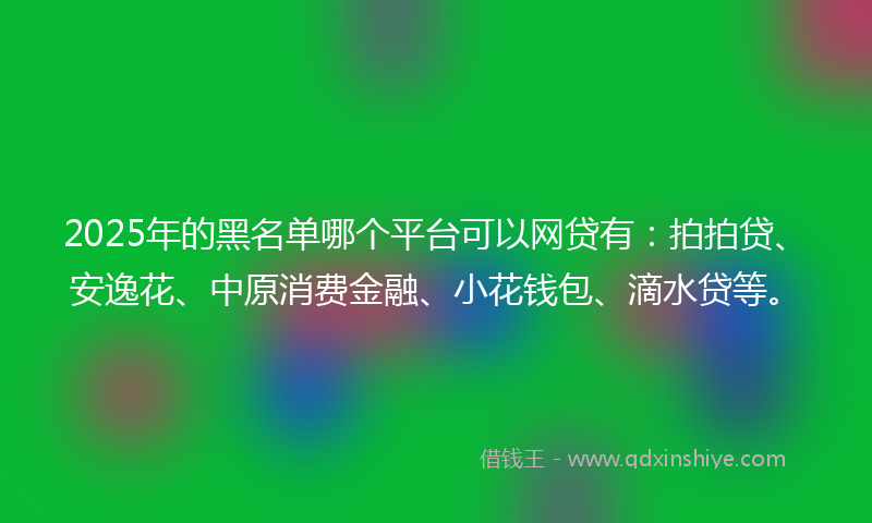 2025年的黑名单哪个平台可以网贷有：拍拍贷、安逸花、中原消费金融、小花钱包、滴水贷等。