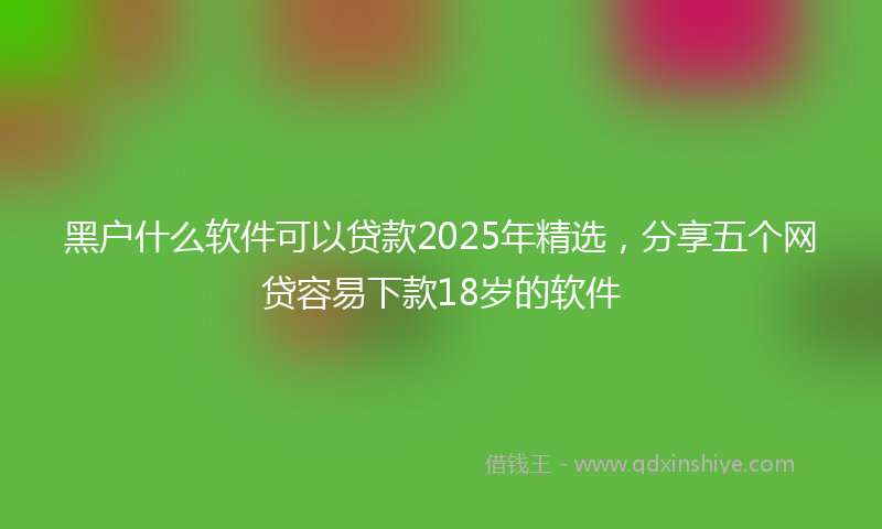 黑户什么软件可以贷款2025年精选，分享五个网贷容易下款18岁的软件