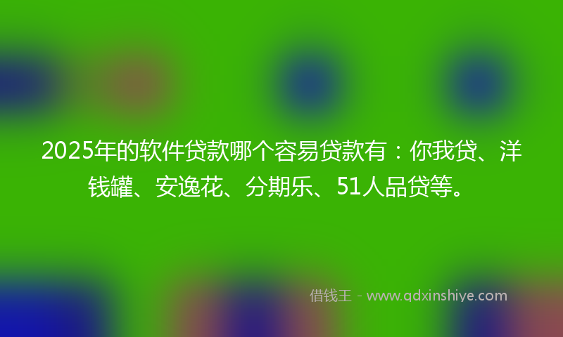 2025年的软件贷款哪个容易贷款有：你我贷、洋钱罐、安逸花、分期乐、51人品贷等。