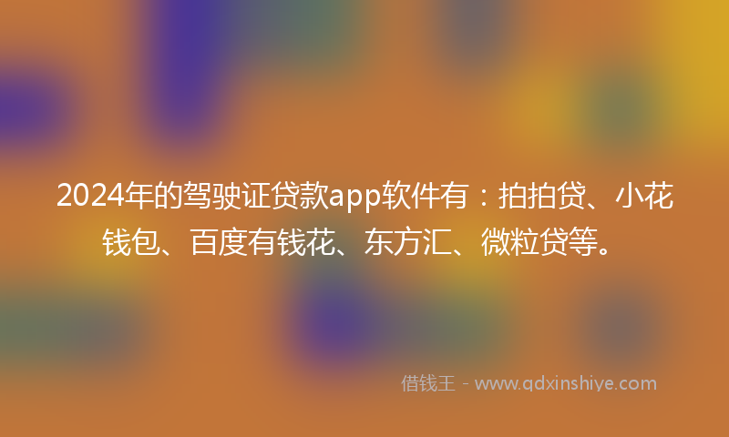 2024年的驾驶证贷款app软件有：拍拍贷、小花钱包、百度有钱花、东方汇、微粒贷等。