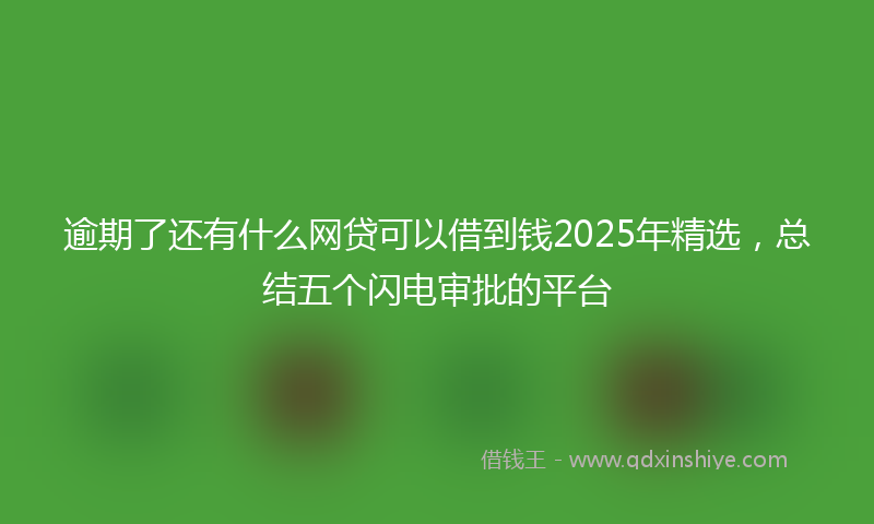 逾期了还有什么网贷可以借到钱2025年精选，总结五个闪电审批的平台