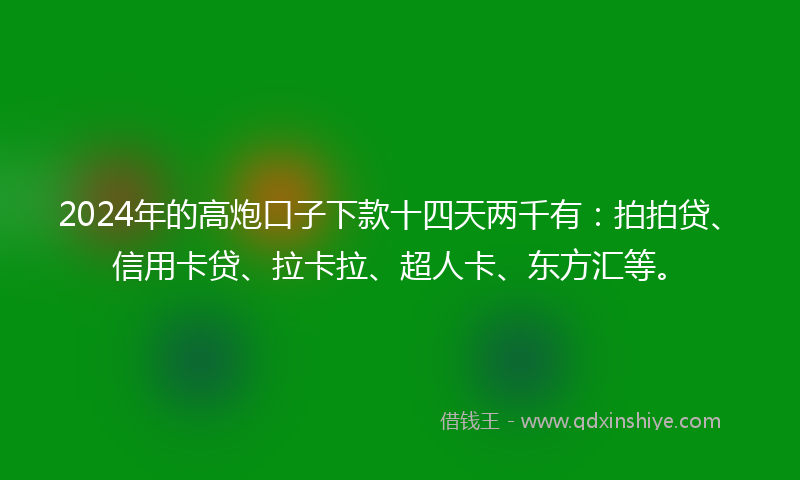 2024年的高炮口子下款十四天两千有：拍拍贷、信用卡贷、拉卡拉、超人卡、东方汇等。