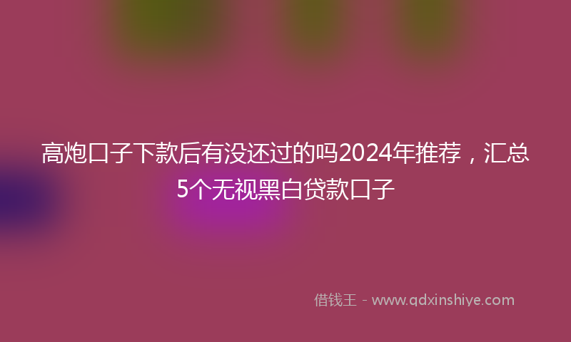 高炮口子下款后有没还过的吗2024年推荐，汇总5个无视黑白贷款口子