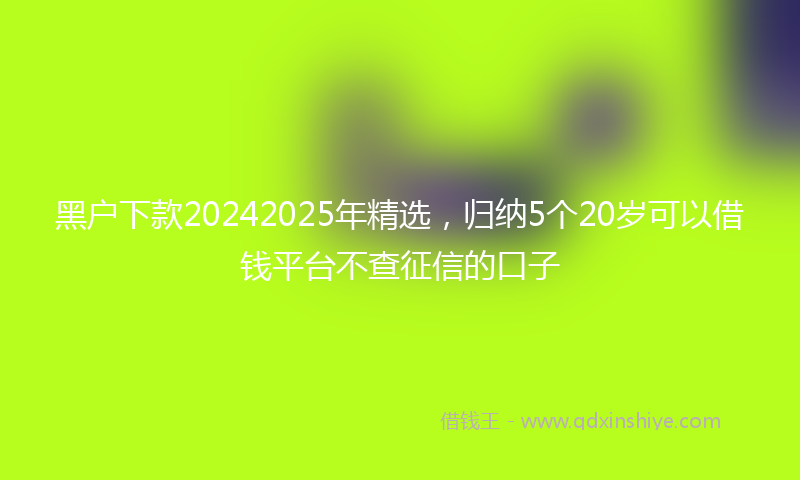 黑户下款20242025年精选，归纳5个20岁可以借钱平台不查征信的口子